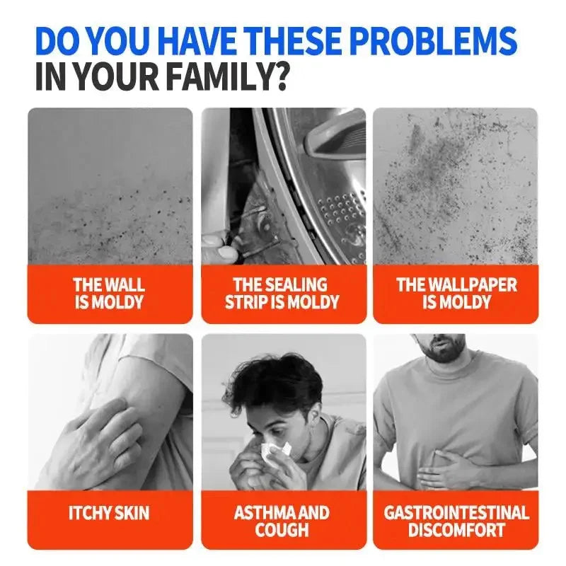 Highly Effective Mould Removal Spray
