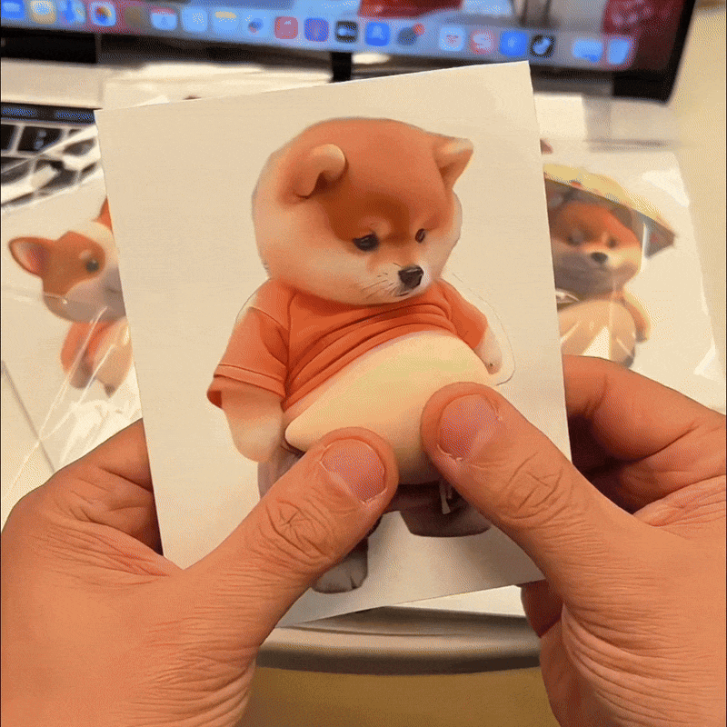 Chubby Shiba Bump