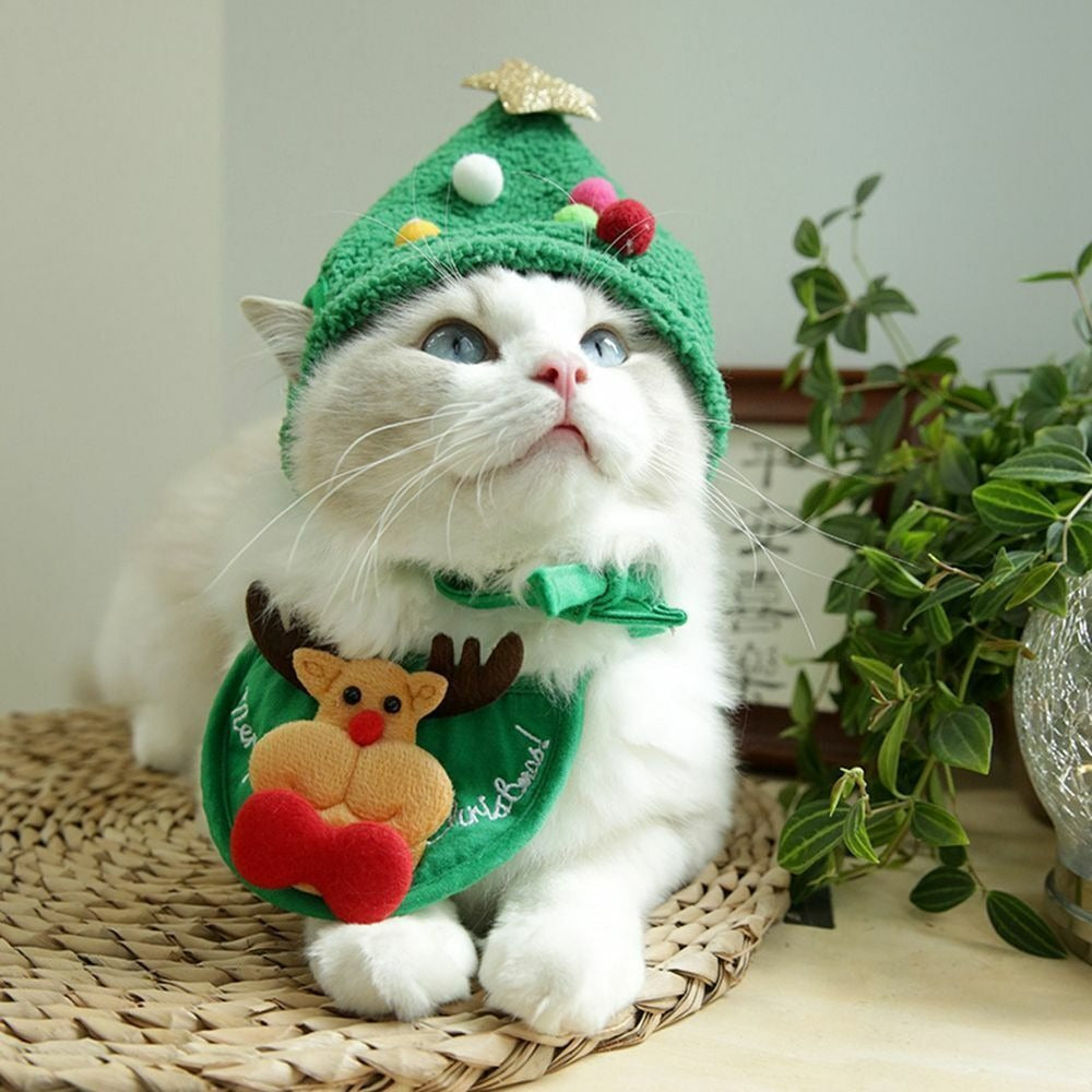 Holiday Pet Outfit ( Hat + Scarf )